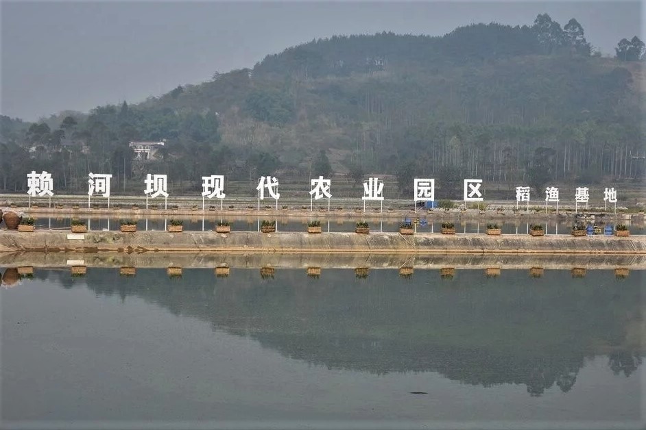 Image title Image title