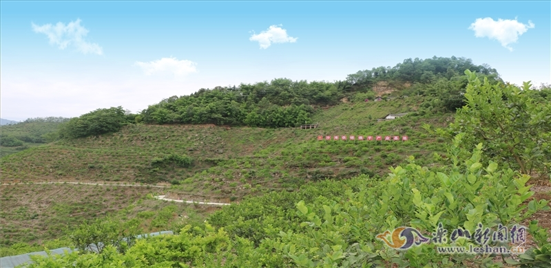 Image title Image title